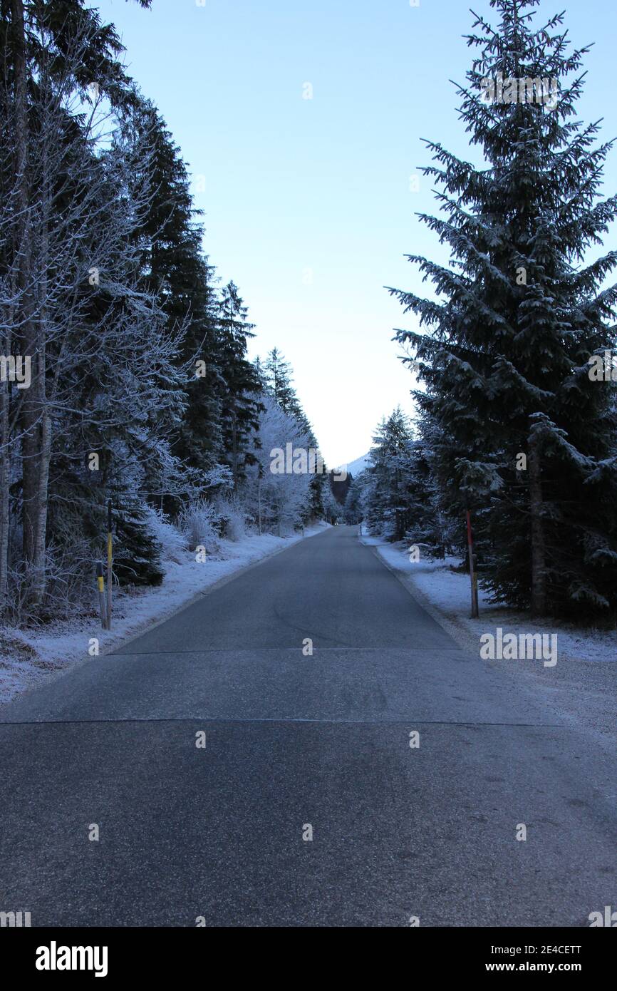 Raureif im Isartal auf der Strecke in die Hinterriß bei Wallgau Foto Stock