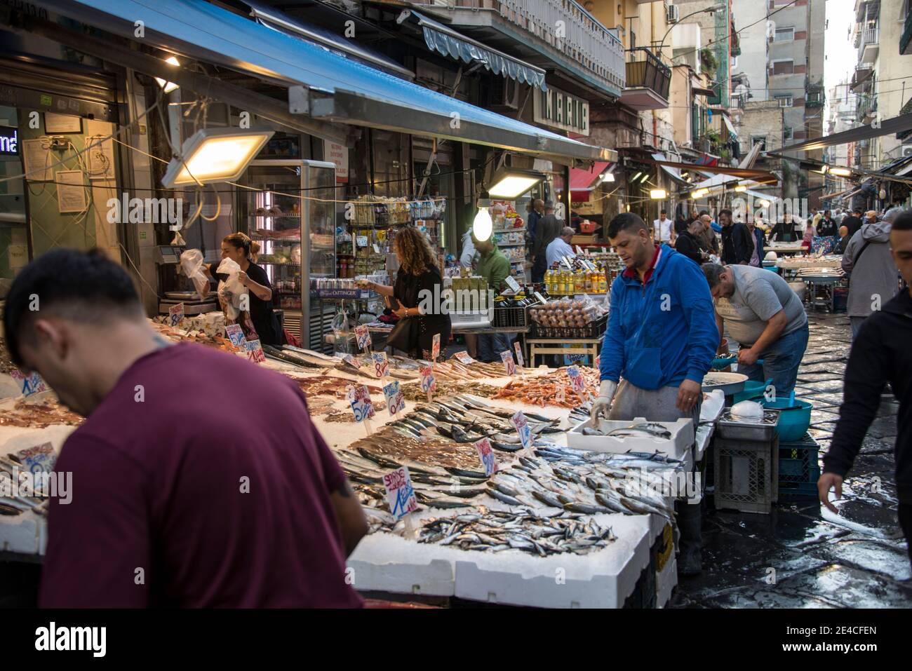 Marktgasse Napoli, mostra di pesce Foto Stock