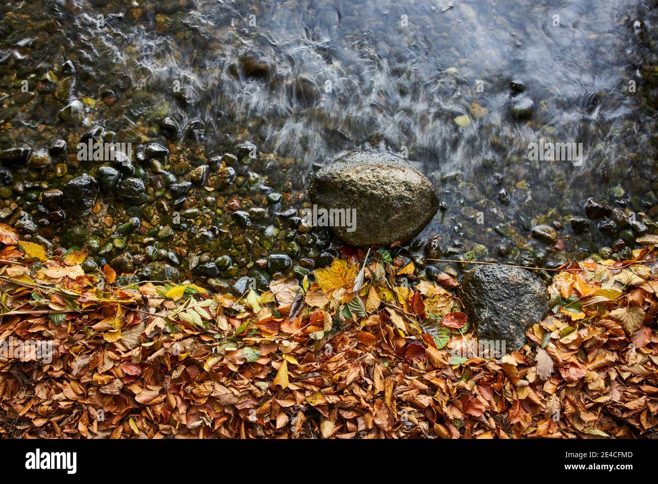 Lakeshore, dettaglio, onda, pietra, foglie, autunno Foto Stock