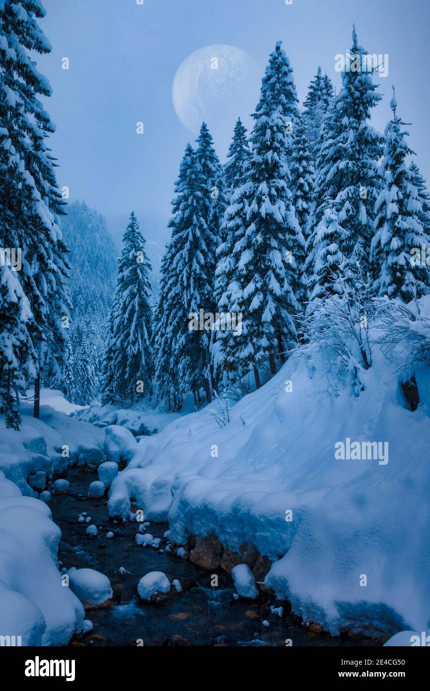 paesaggio invernale sotto la neve con luna piena, alberi innevati e ruscello alpino, immagine manipolata Foto Stock