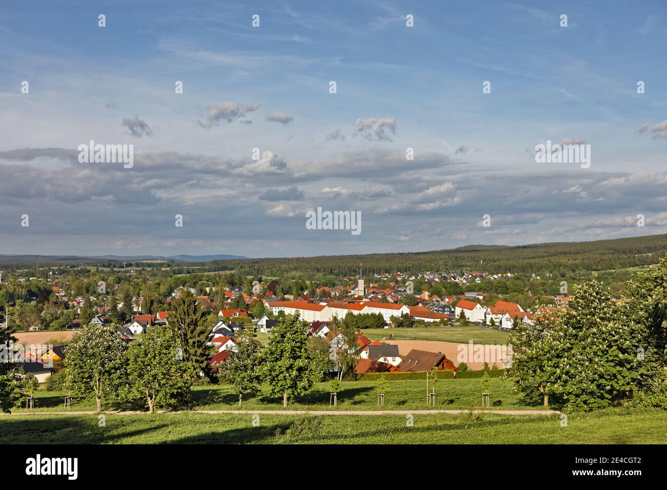 Germania, Turingia, Gehren, città, panoramica, chiesa, alberi di castagno fioriti, luce serale Foto Stock