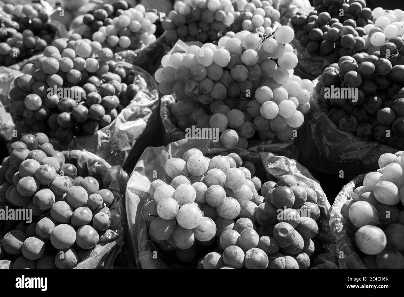 Pile di uve verdi e rosse/viola esposte all'aperto con il sole che illumina i frutti che sta vendendo In un mercato [Bianco e nero] Foto Stock