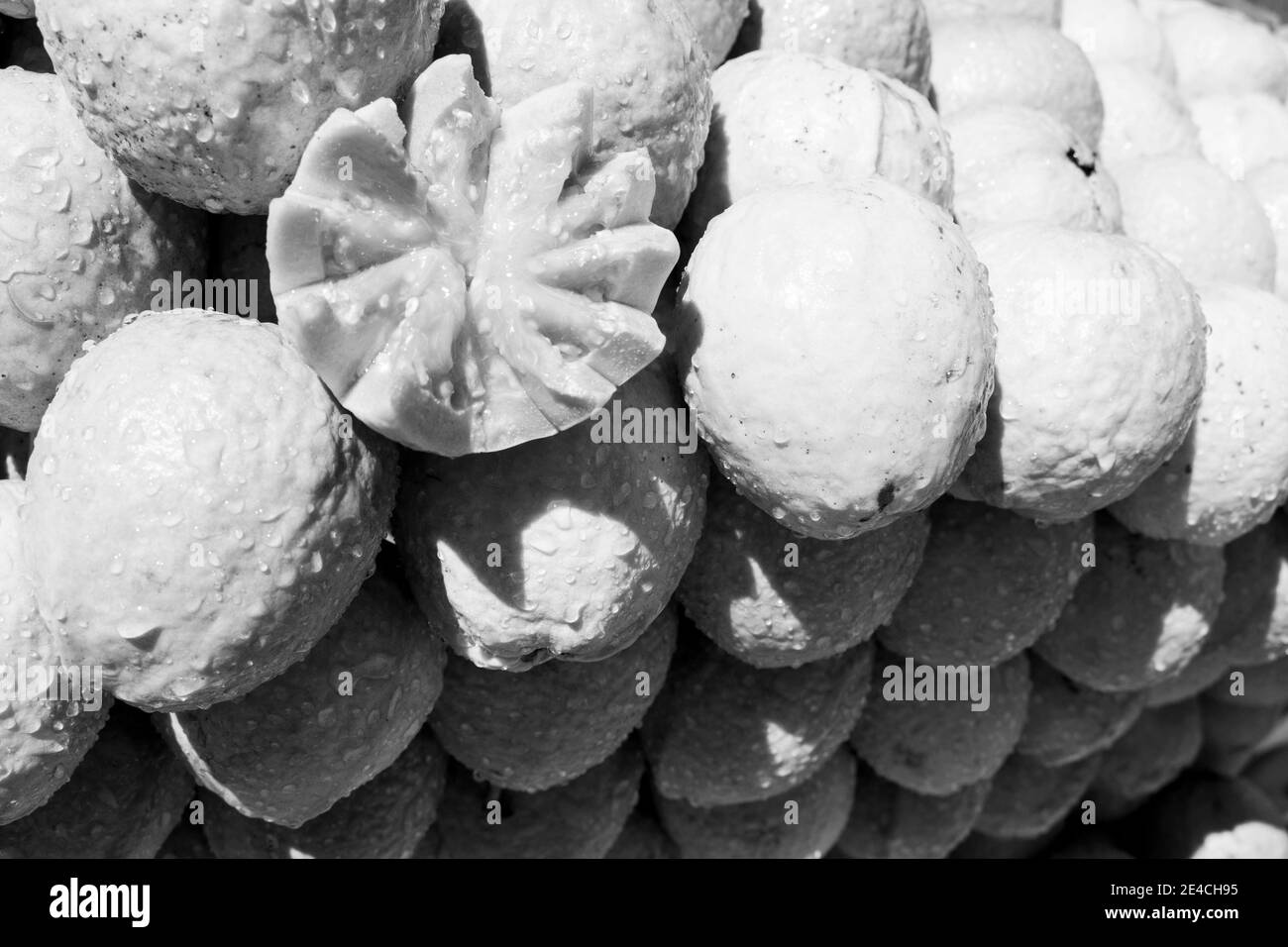 Gruppo di guave accatastate con uno dei frutti aperti in modo decorativo. [Versione in bianco e nero] Foto Stock