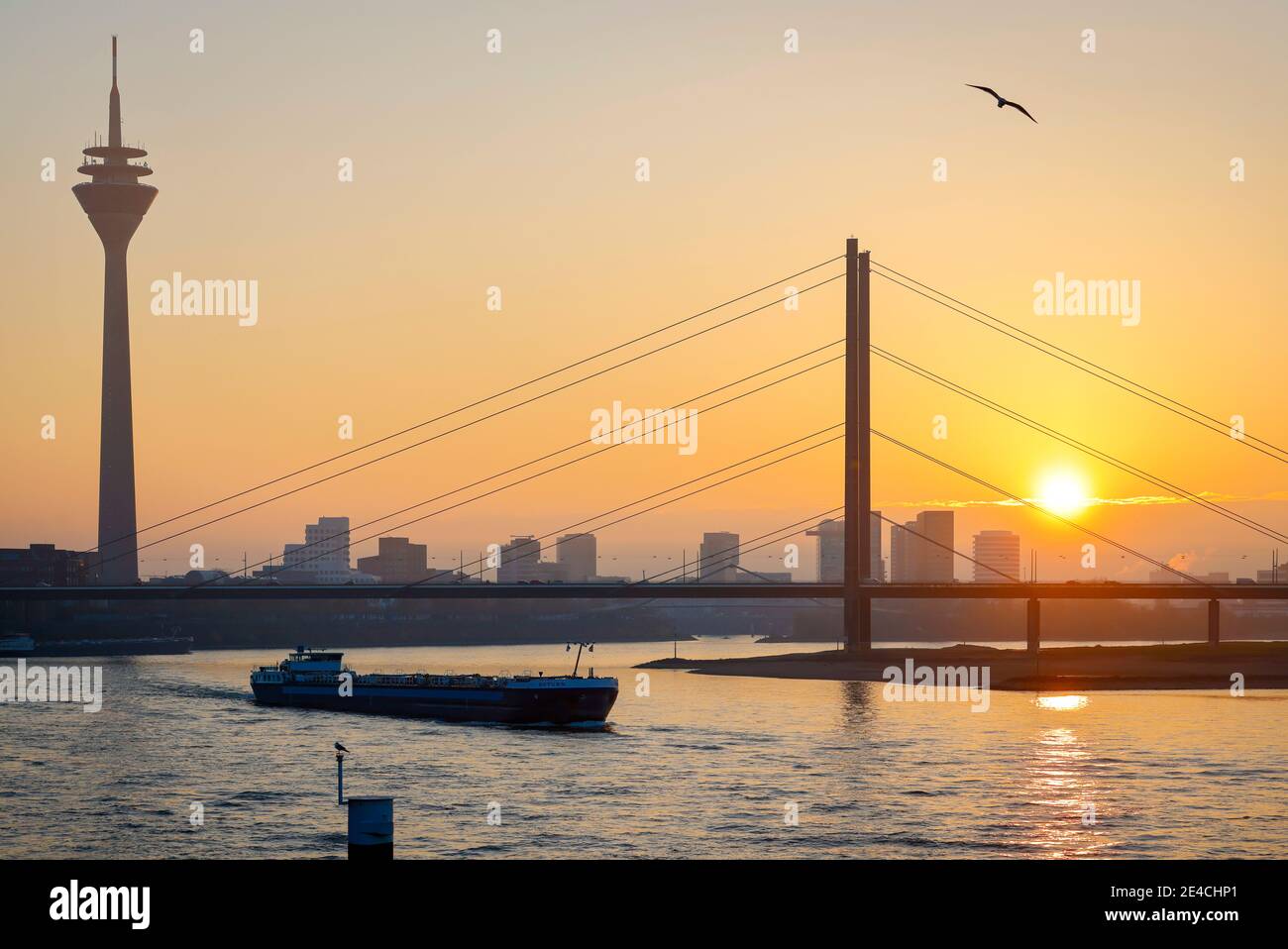 Duesseldorf, Nord Reno-Westfalia, Germania - skyline, panorama con torre della TV, Rheinkniebruecke, freighter sul Reno al tramonto. Foto Stock