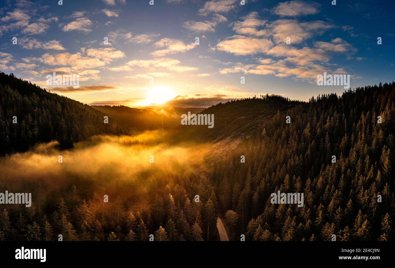 Germania, Turingia, Großbreitenbach, Allersdorf, paesaggio, valle, foresta, montagne, strada, boschi di nebbia, alba, luce posteriore, vista aerea Foto Stock