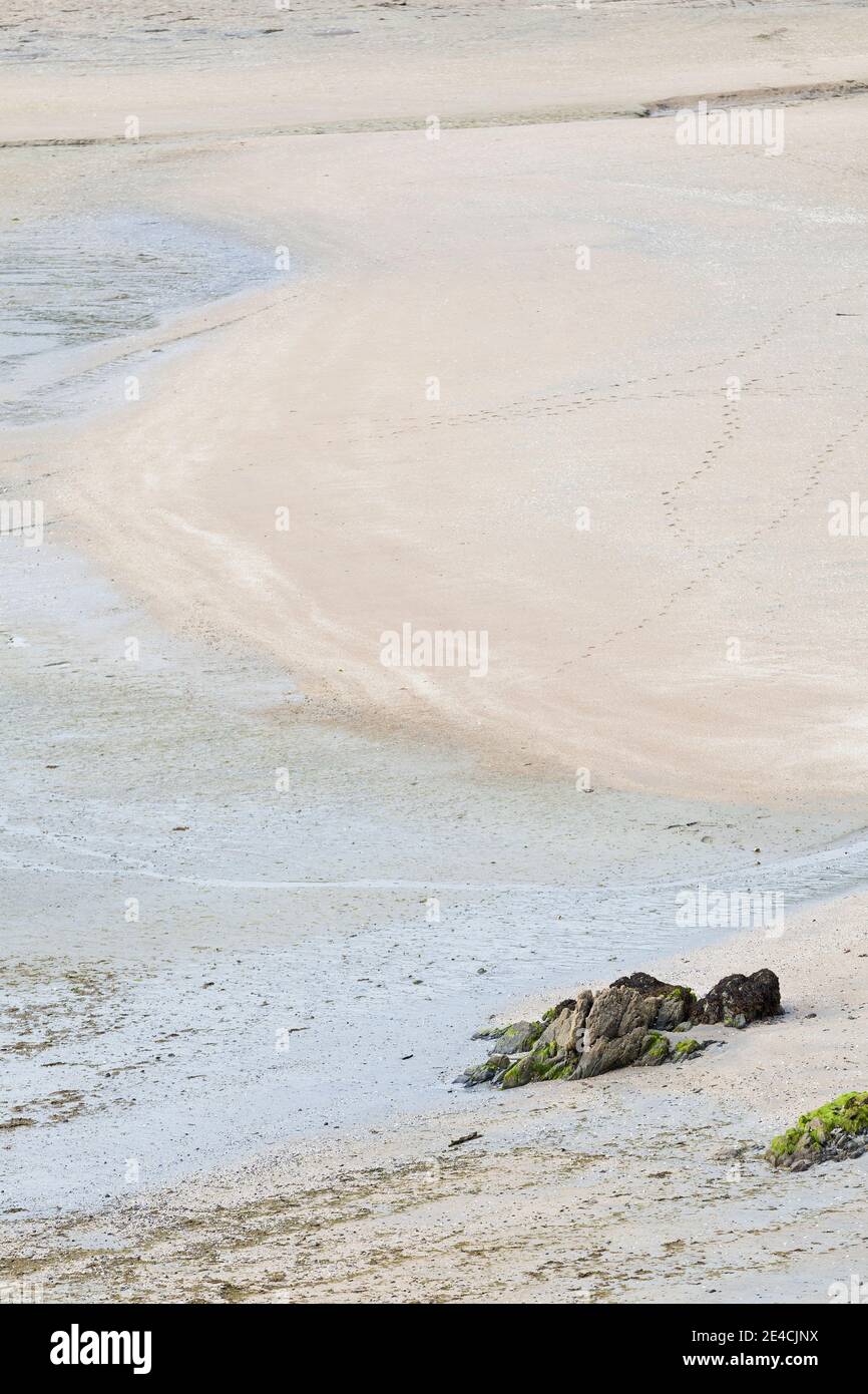 Le forme astratte si presentano a bassa marea nella baia di Baie de Fresnaye a sud di Cap Frehels, in Bretagna, Francia. Foto Stock