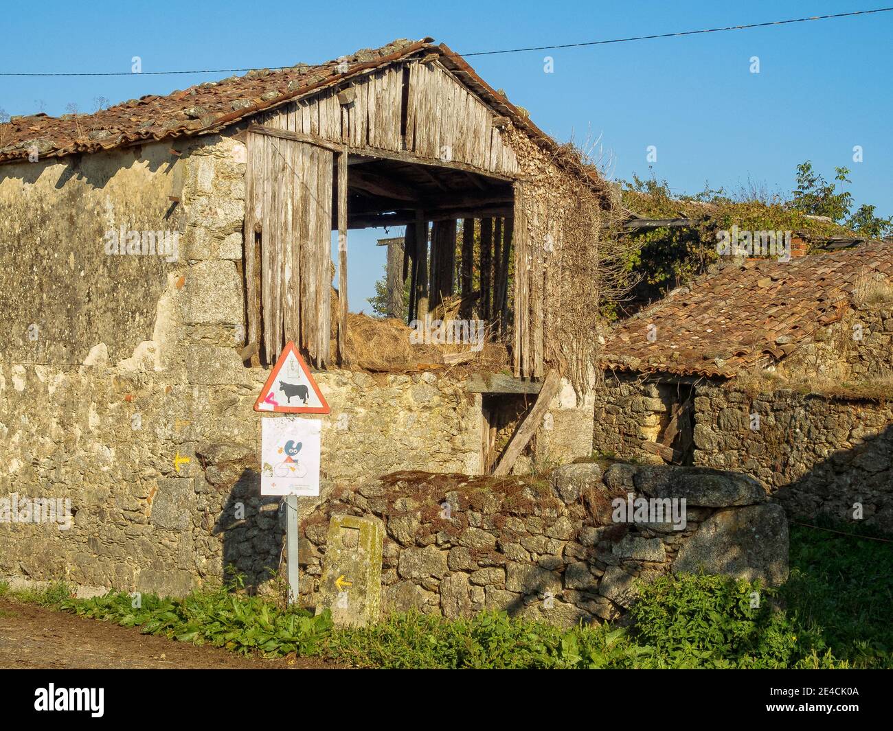 Vecchio fienile, camino e un cartello 'bestiame su strada' - Castaneda, Galizia, Spagna Foto Stock