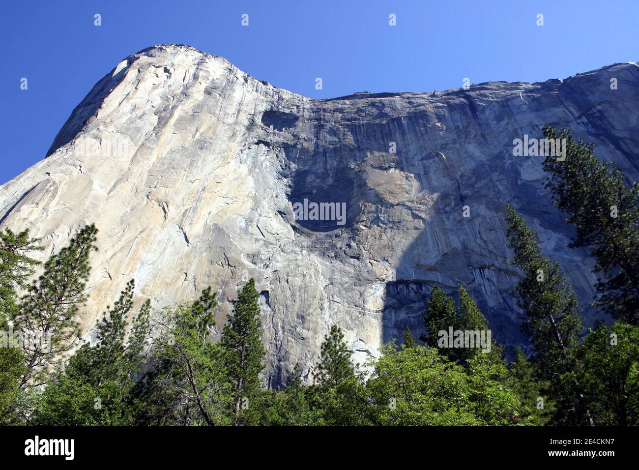 El Capitan, parete rocciosa, Yosemite National Park, California, Stati Uniti Foto Stock