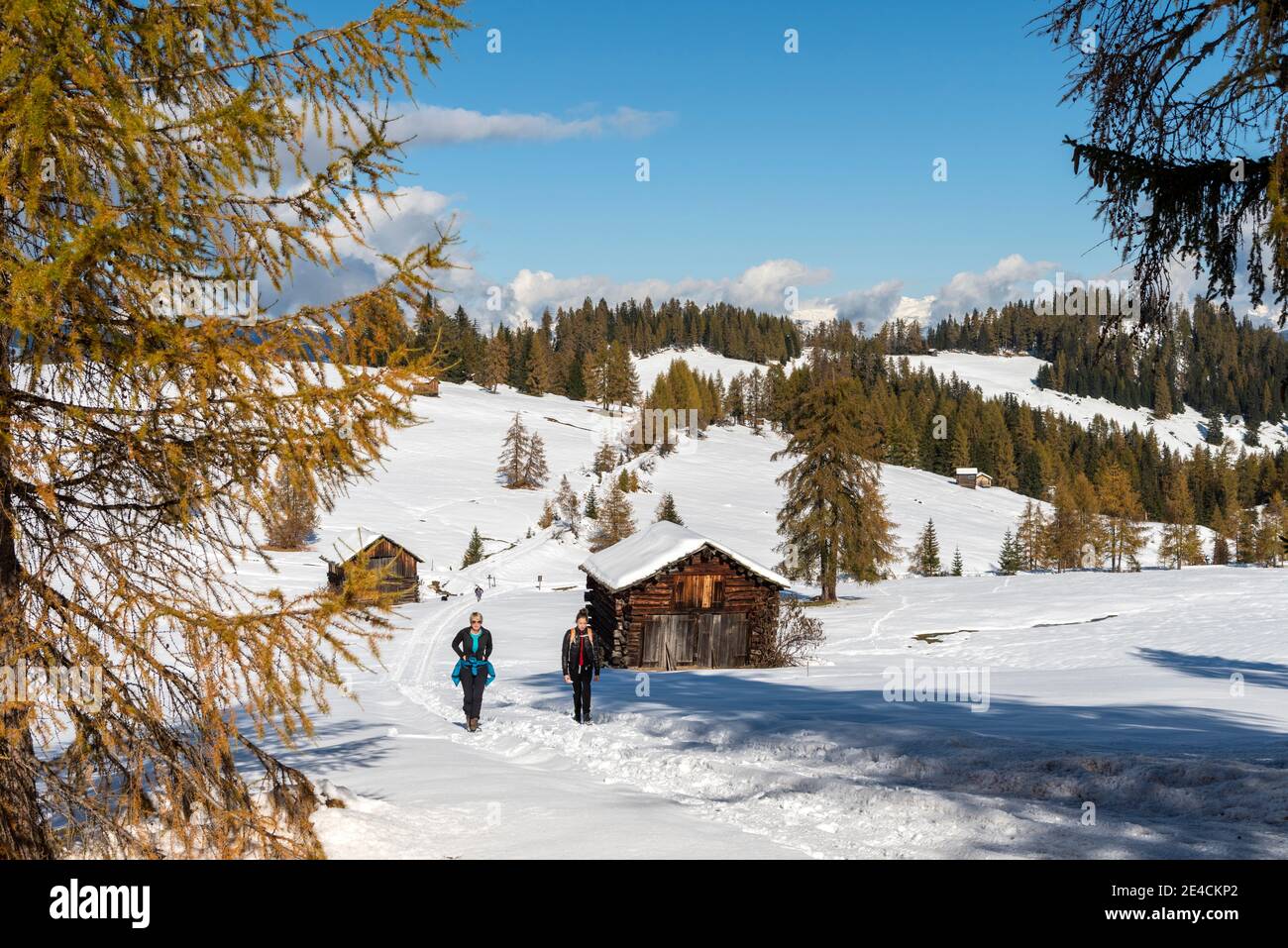 Hochabtei / alta Badia, Provincia di Bolzano, Alto Adige, Italia, Europa. Foto Stock