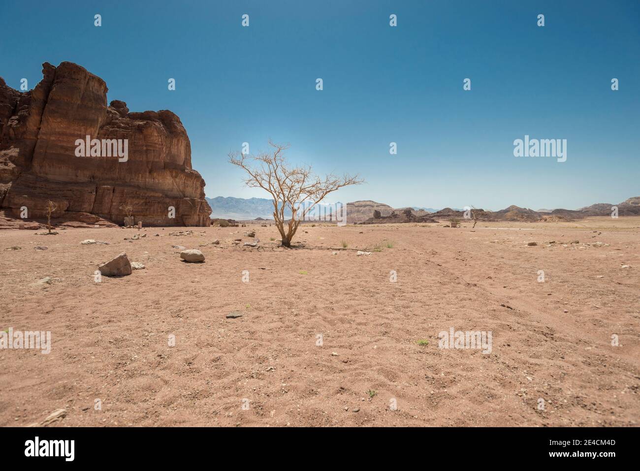 Medio Oriente, Israele, deserto di Negev, Parco di Timna, colonne di Salomone Foto Stock