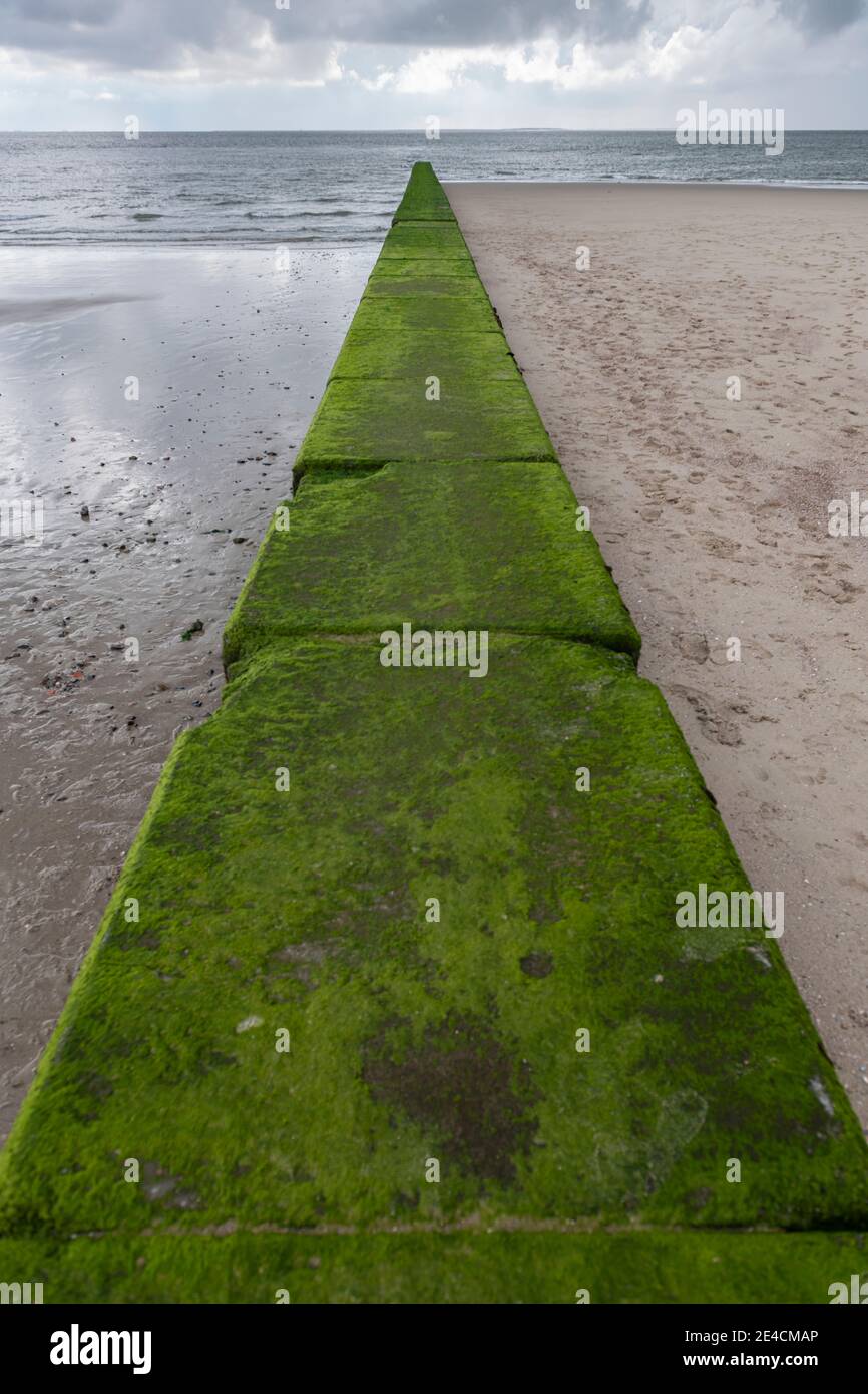 Europa, Germania, bassa Sassonia, Mare del Nord, Isole Frisone Orientali, Parco Nazionale del Mare di Wadden, Borkum, Südstrand, Groyne Foto Stock