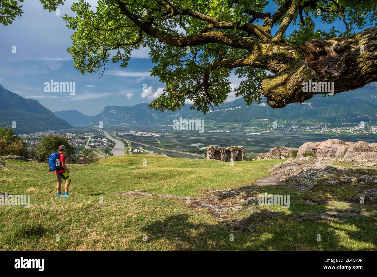 Montan, Provincia di Bolzano, Alto Adige, Italia. Vista da Castelfeder con la cortina preistorica nelle pianure altoatesine Foto Stock