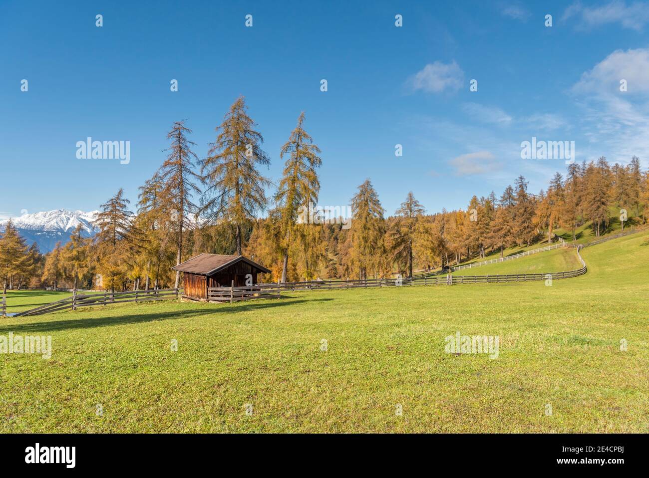 Jenesien, Provincia di Bolzano, Alto Adige, Italia. Autunno sul Salten, il più alto altopiano di larice d'Europa Foto Stock