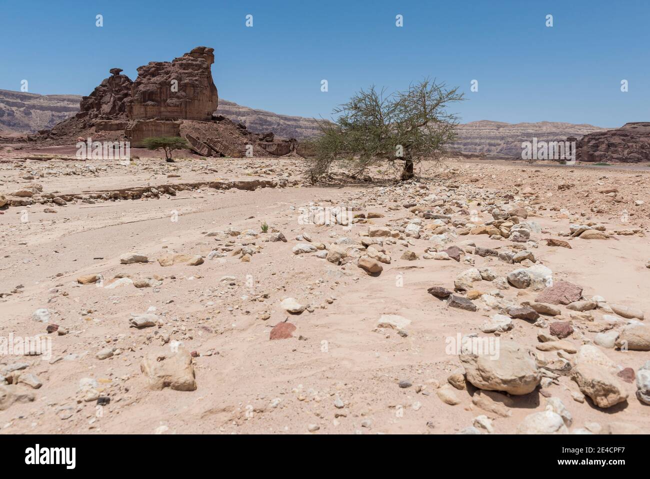 Medio Oriente, Israele, deserto di Negev, Parco di Timna Foto Stock