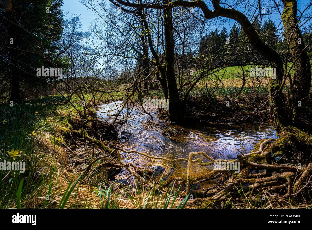 Il fiume Olef si snoda attraverso la Valle Olef Foto Stock