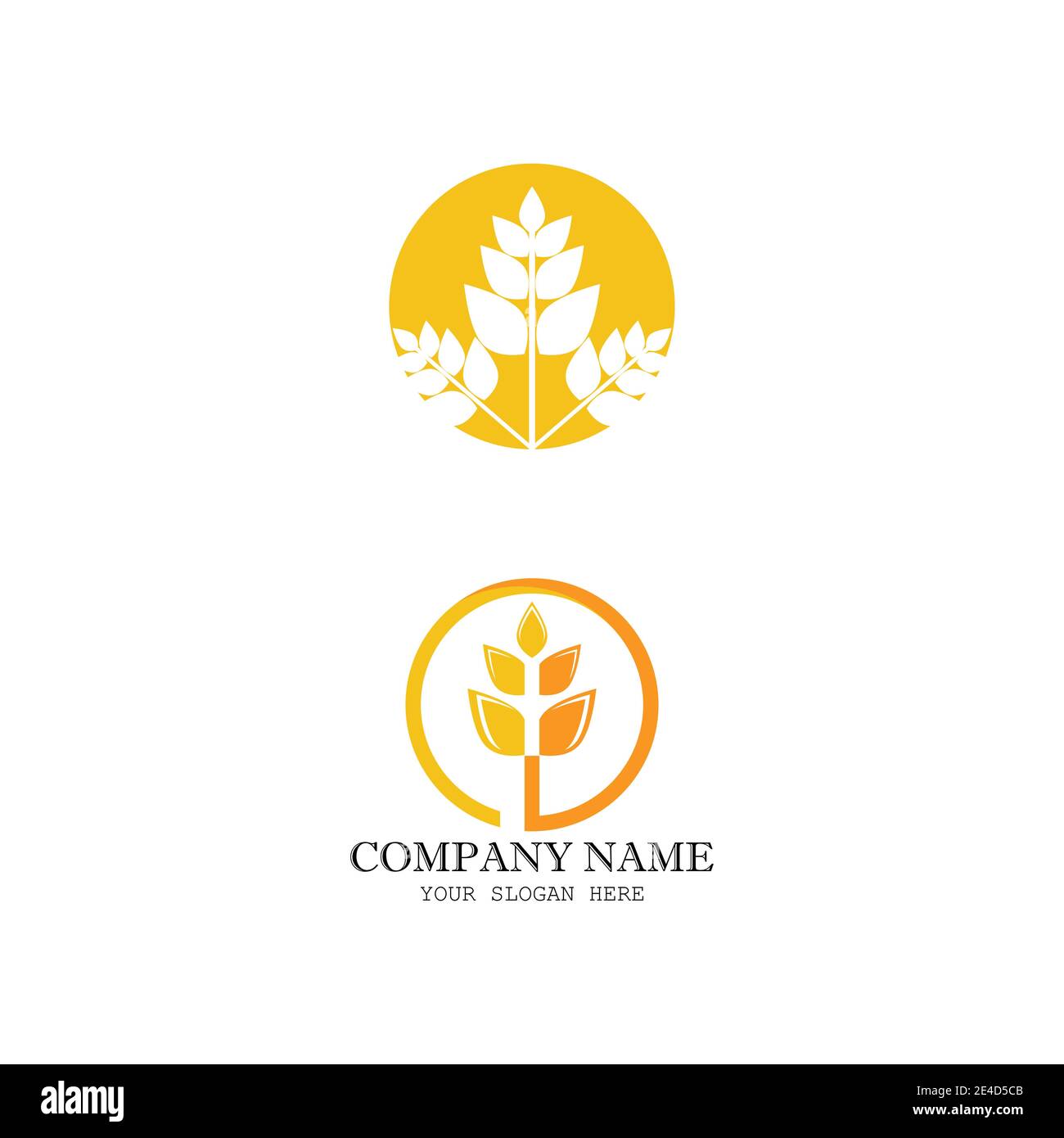 Tipo di simbolo vettoriale del modello del logo del grano Illustrazione Vettoriale