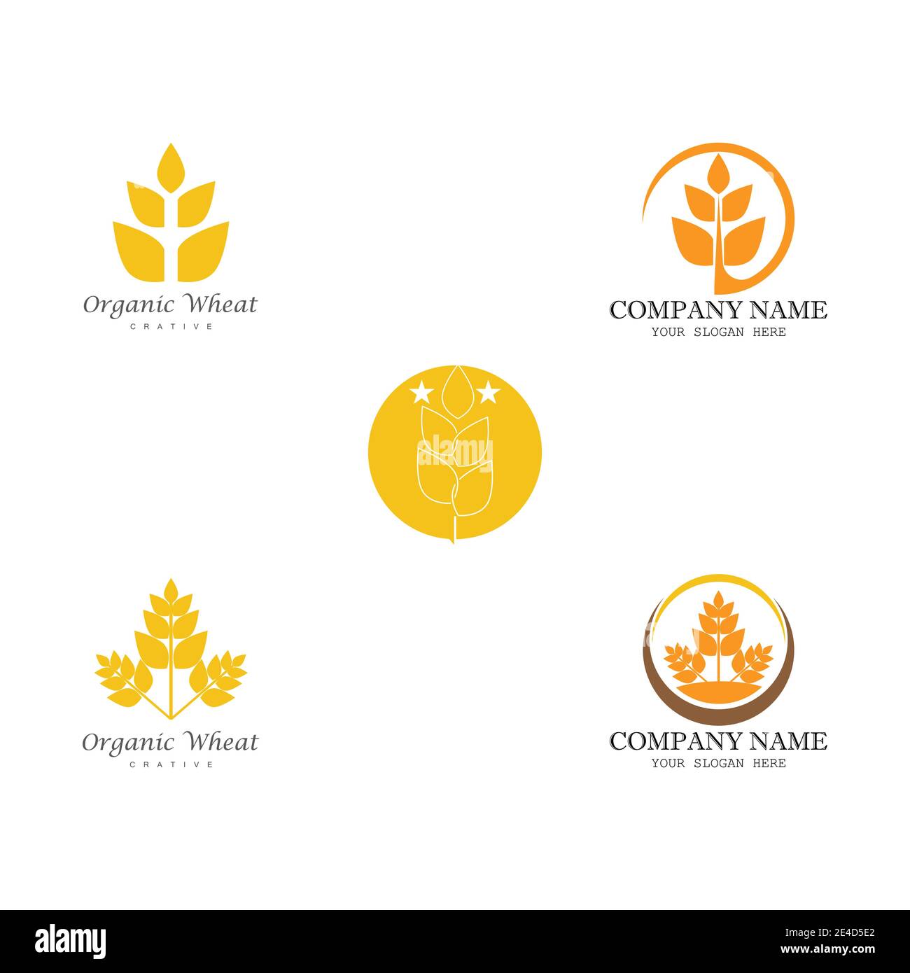 Impostare il disegno dell'icona del vettore grano per l'agricoltura Illustrazione Vettoriale