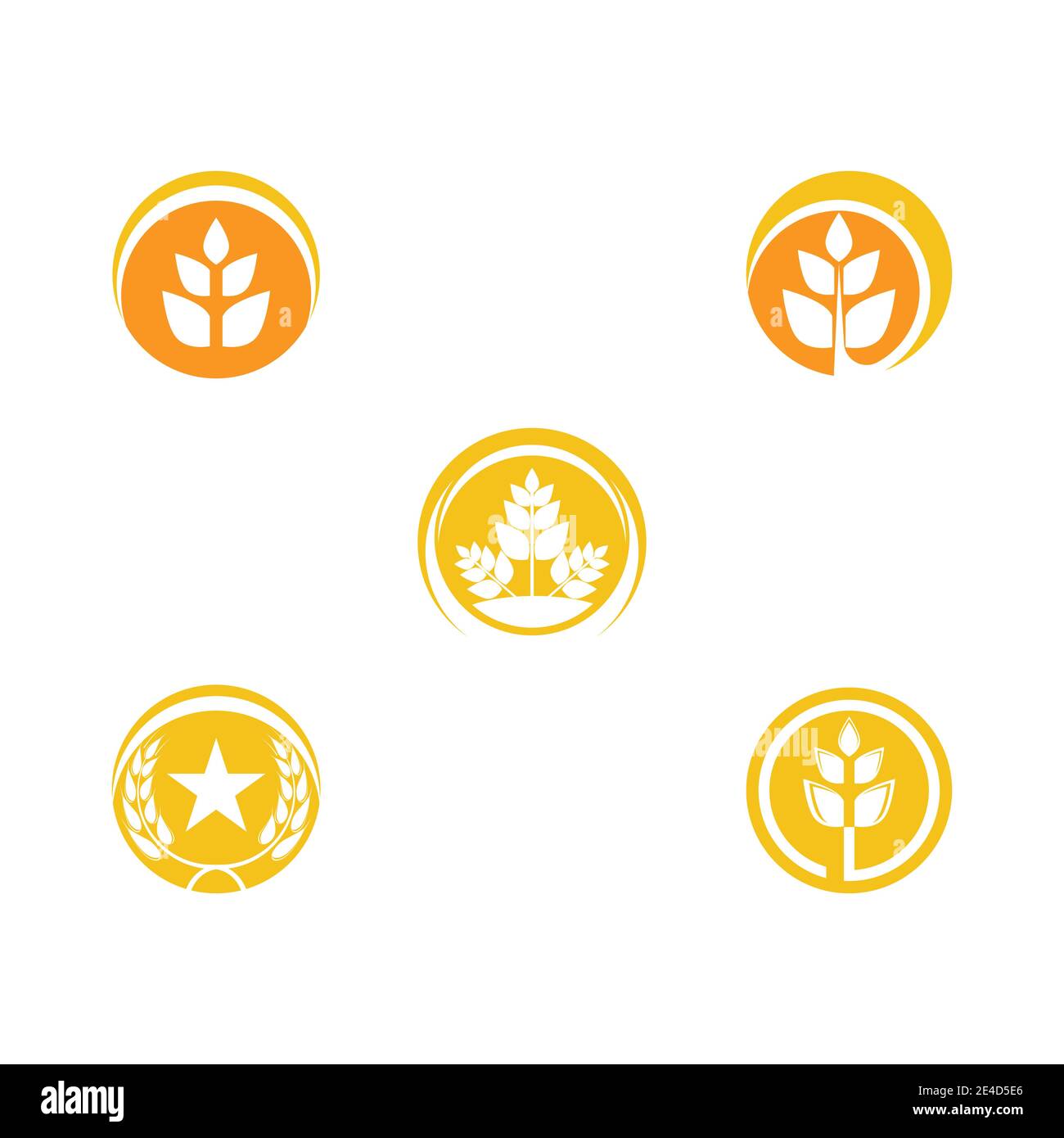 Impostare il disegno dell'icona del vettore grano per l'agricoltura Illustrazione Vettoriale