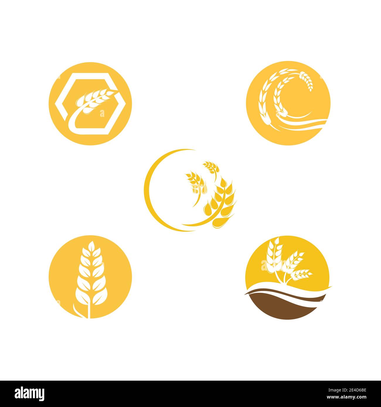 Impostare il disegno dell'icona del vettore grano per l'agricoltura Illustrazione Vettoriale