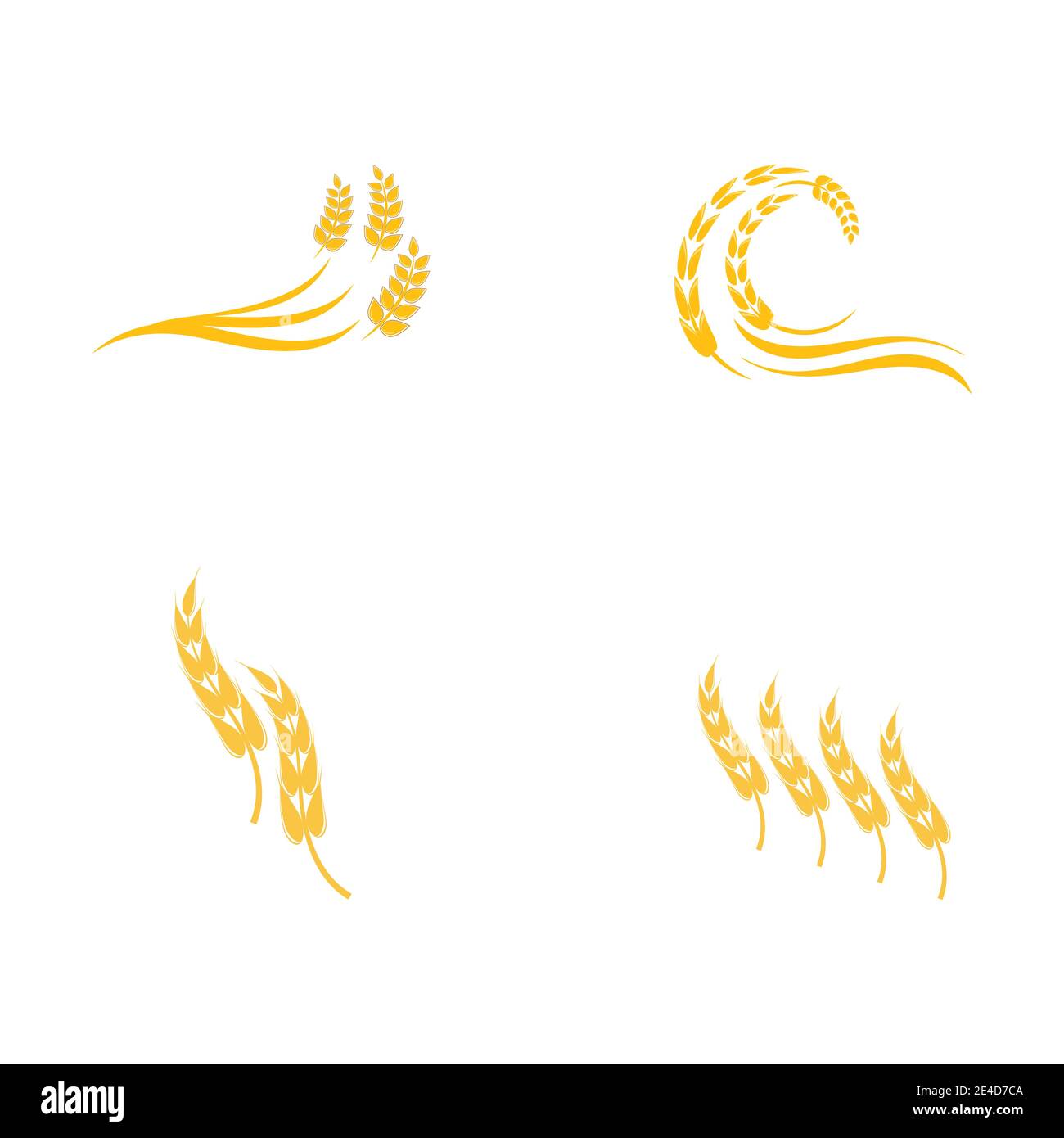 Impostare il disegno dell'icona del vettore grano per l'agricoltura Illustrazione Vettoriale