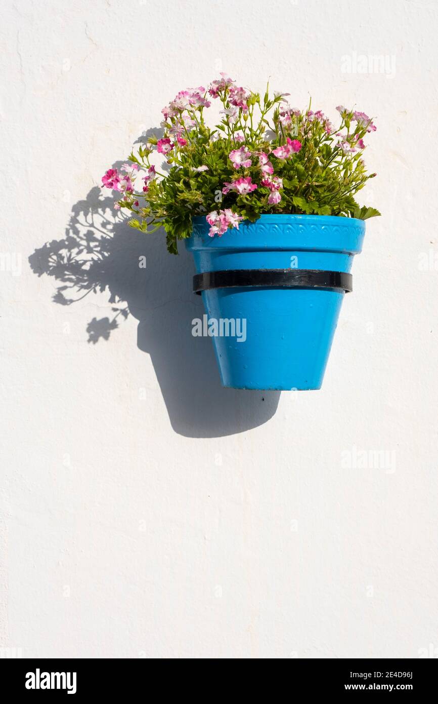 Parete bianca con fiori in vaso, tipico villaggio bianco di Mijas. Costa del Sol, provincia di Malaga. Andalusia, Spagna meridionale Europa Foto Stock