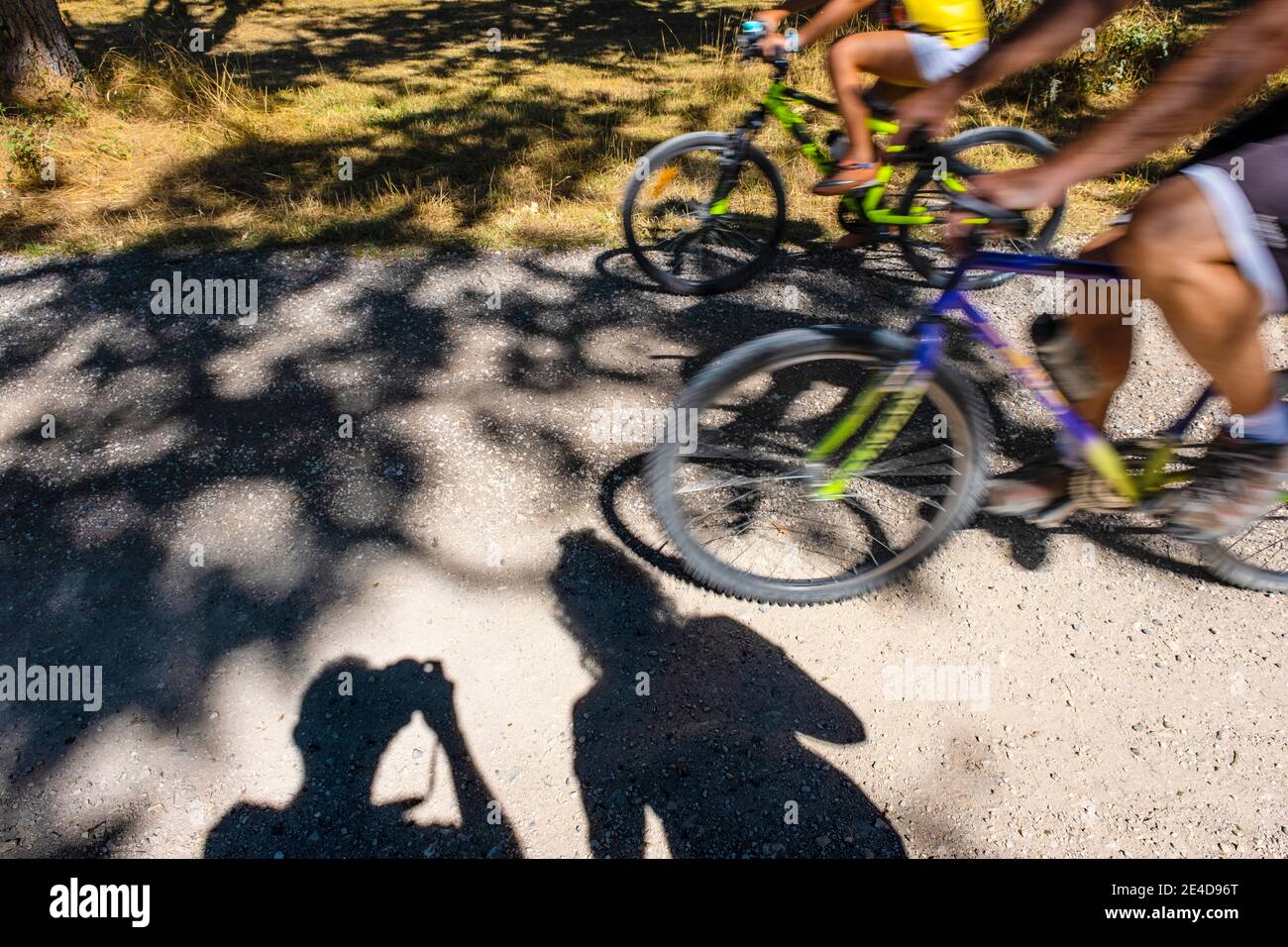 Mountain bike. Ciclisti lungo un percorso forestale, provincia di Burgos, Spagna Europa Foto Stock