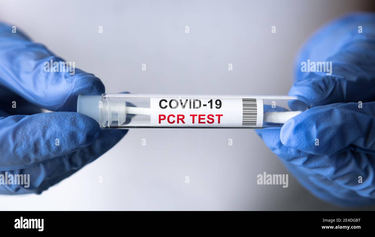 Test PCR COVID-19 in primo piano con le mani del medico, l'infermiere in bianco contiene il kit per il prelievo con tampone di coronavirus. Concetto di diagnosi del virus corona, test medico Foto Stock
