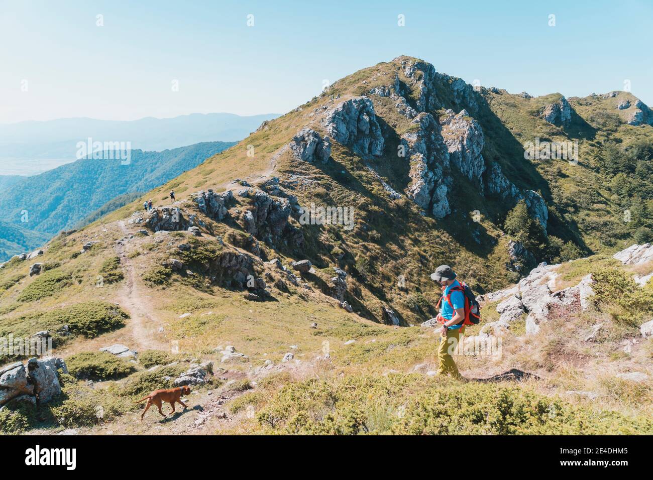 Giovane uomo che camminano in montagna con il suo cane. Belle cime rocciose di montagna sullo sfondo Foto Stock