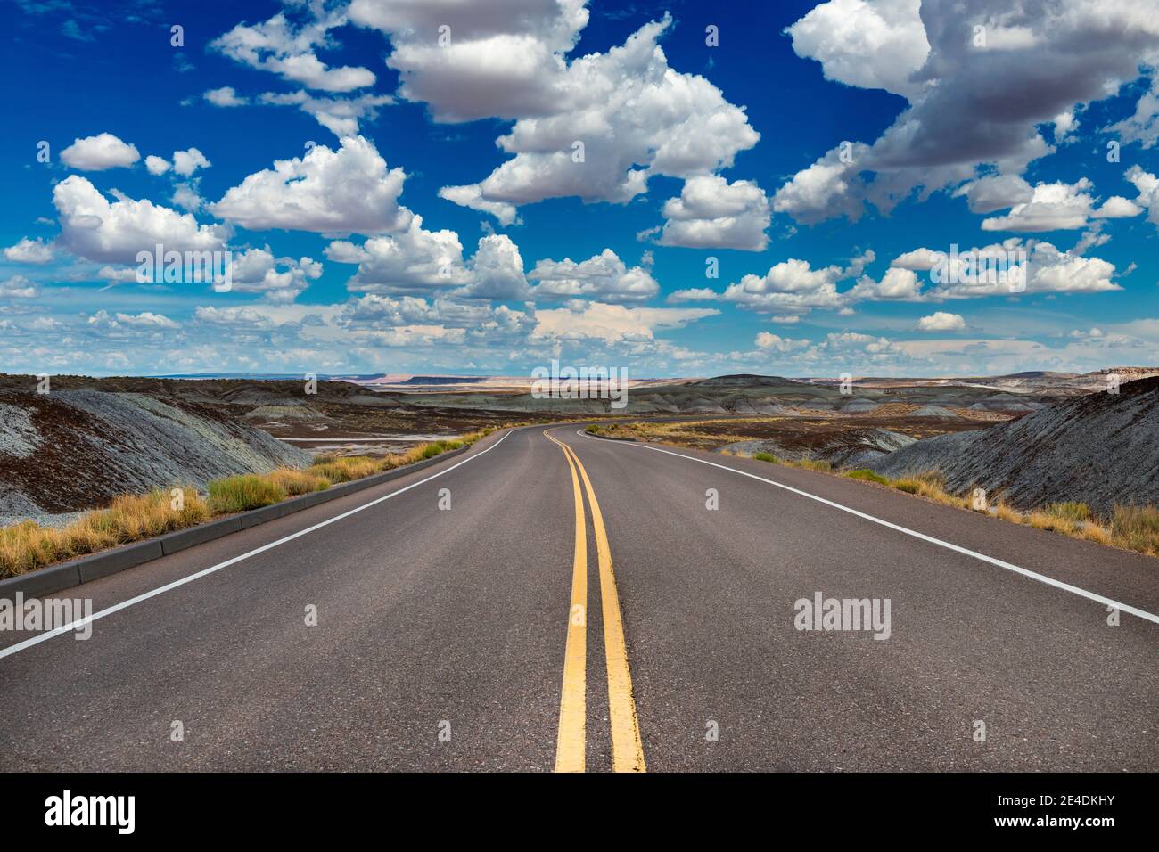Vista panoramica di una strada nel Parco Nazionale del deserto pietrificato, nello stato dell'Arizona, USA; concetto di viaggio in America e viaggio su strada Foto Stock
