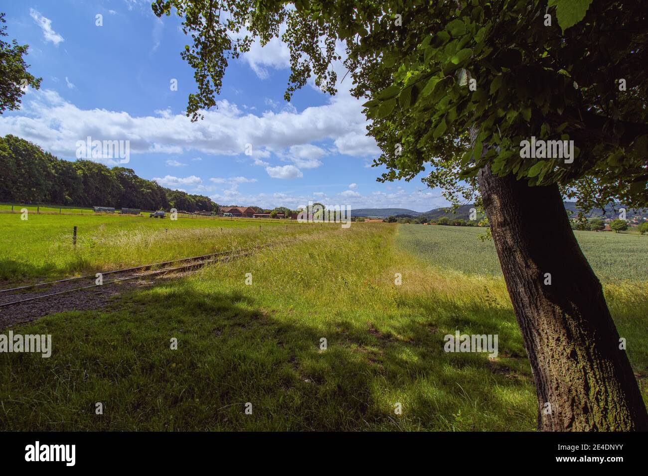 Paesaggio diurno di alberi, binari ferroviari e paddock cavallo. Foto Stock