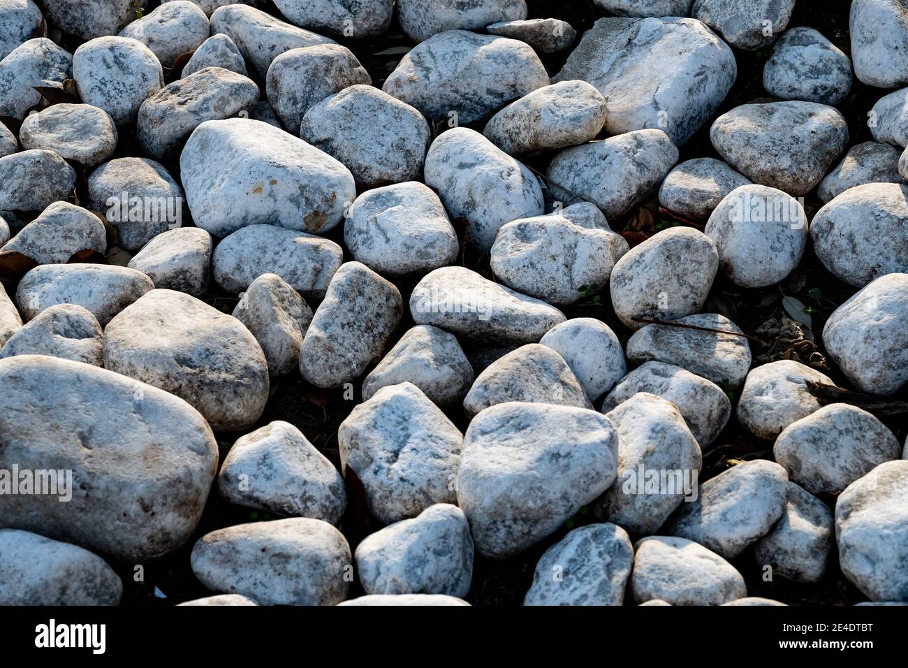Texture di ciottoli e pietre grigie sulle spiagge italiane della Liguria occidentale Foto Stock