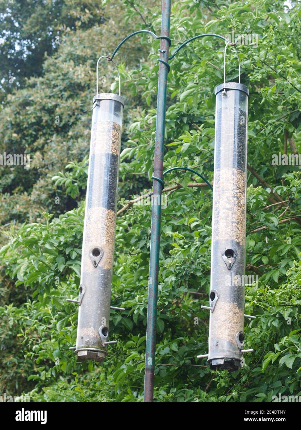 Due alimentatori di uccelli appesi in un giardino britannico. Foto Stock