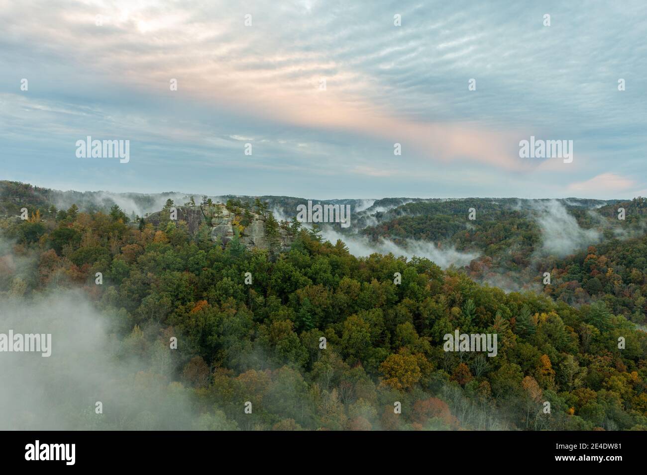 Mattina nebbia sorge nella gola del fiume Rosso a Slade, Ky. Foto Stock