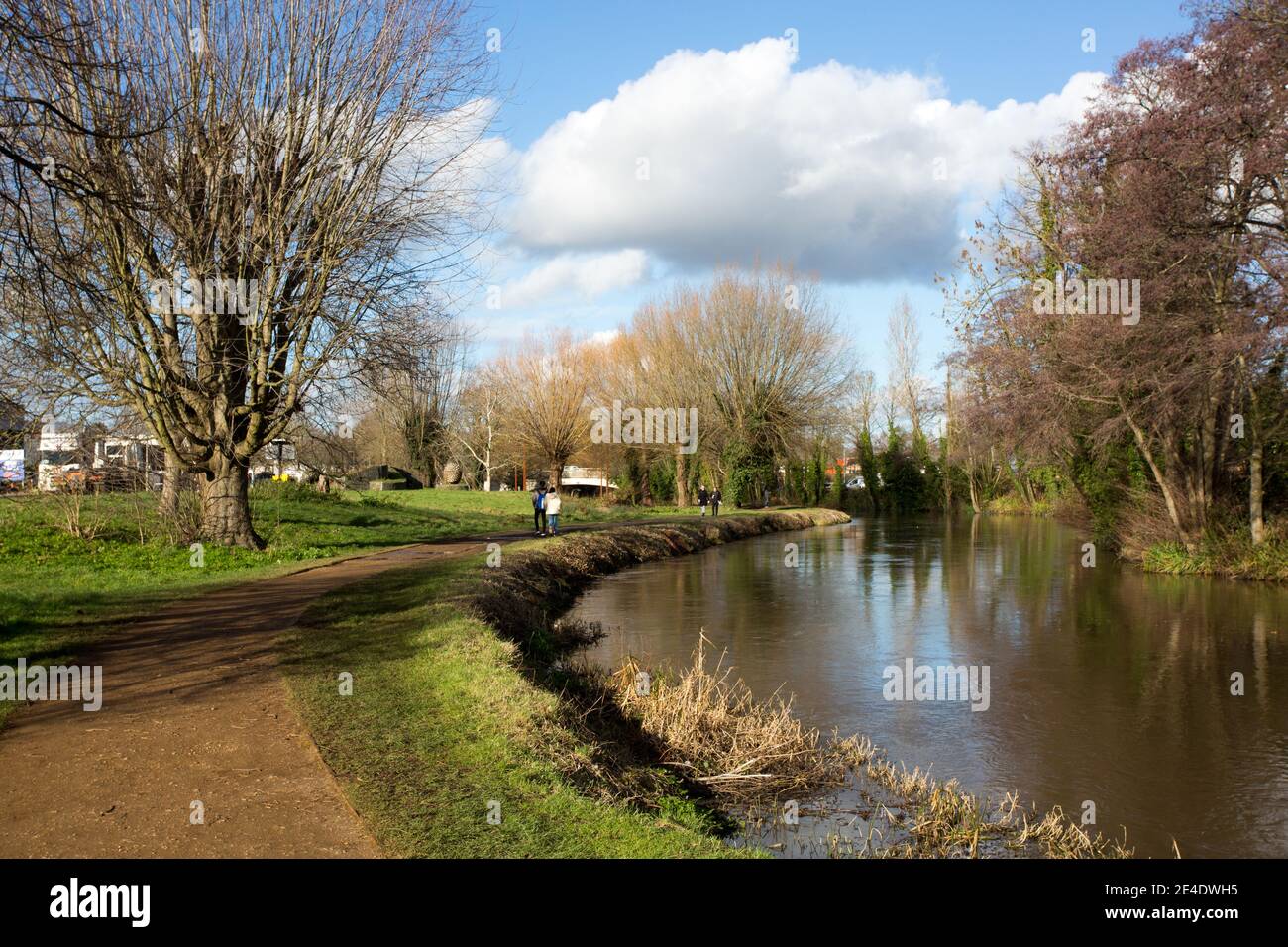 Fiume Wey, Guildford, Surrey Foto Stock
