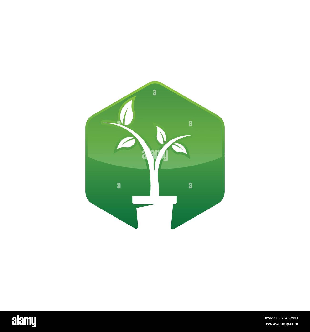 Immagine grafica vettoriale con logo orizzontale. Logo Lanscaping con crescita di piante all'interno di una forma quadrata Illustrazione Vettoriale