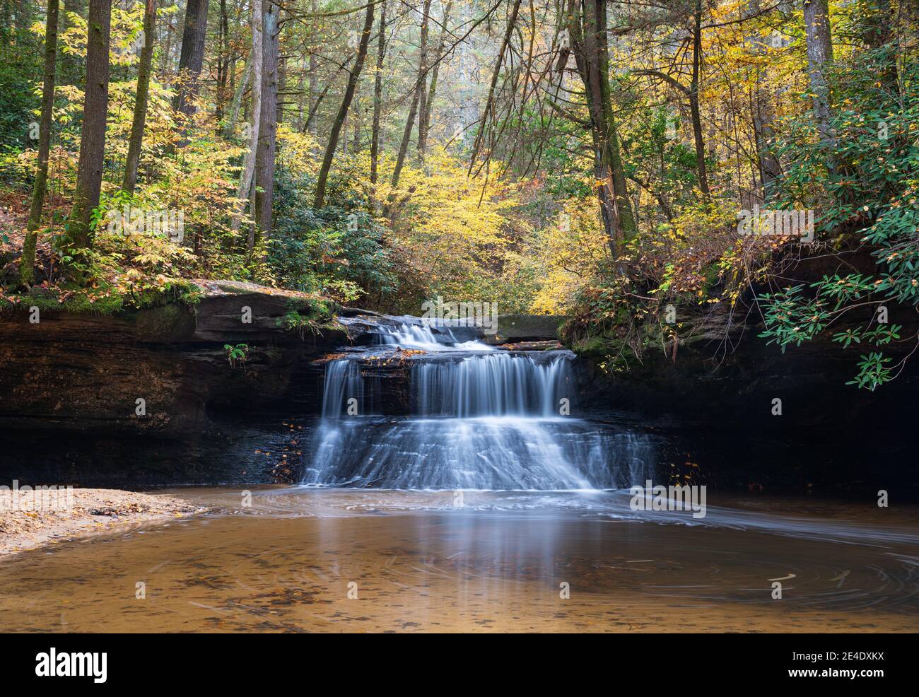 L'acqua scorre sulle cascate Creation Falls nella gola del fiume Rosso, Ky. Foto Stock