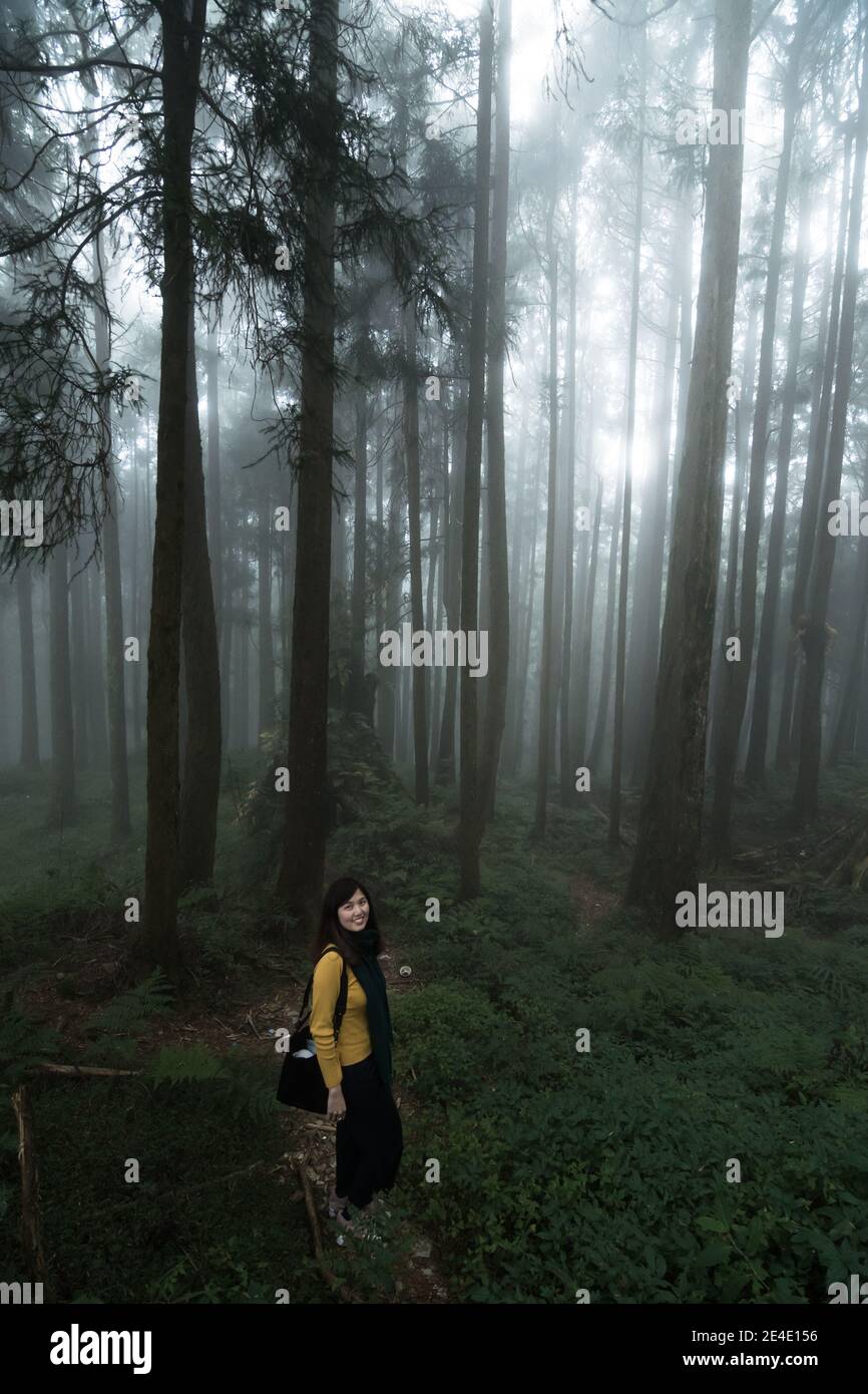 Ritratto di belle donne che si posano sotto il Cipresso di Formosa al Parco Nazionale Alishan Taiwan. Foto Stock