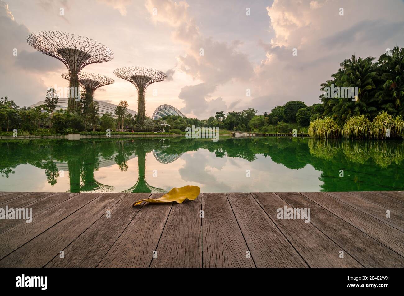 Super alberi a Gardens by the Bay. Le strutture ad albero sono dotate di tecnologie ambientali che imitano la funzione ecologica degli alberi. Foto Stock