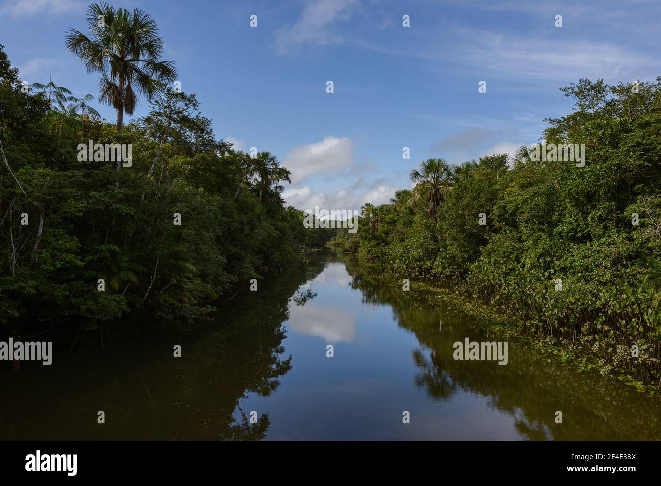 Fiume Itaporanga, Regione Amazzonica di Barcarena, Stato di Pará, Brasile. Foto Stock