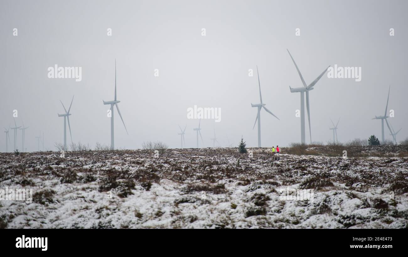 Whitelee Wind Farm, Eaglesham, Scozia, Regno Unito. 15 gennaio 2021. Nella foto: Le persone che camminano e fanno jogging sulla brughiera innevata della Whitelee Wind Farm che si allenano quotidianamente mentre la Scozia è ancora in fase 4 di blocco a causa del Coronavirus (COVID-19) Pandemic. Whitelee Wind Farm visto sotto un tappeto di neve, che è ancora steso sul terreno a causa della sua posizione sul terreno più alto. È popolare con la gente che prende il loro esercizio quotidiano di blocco. Credito: Colin Fisher Foto Stock