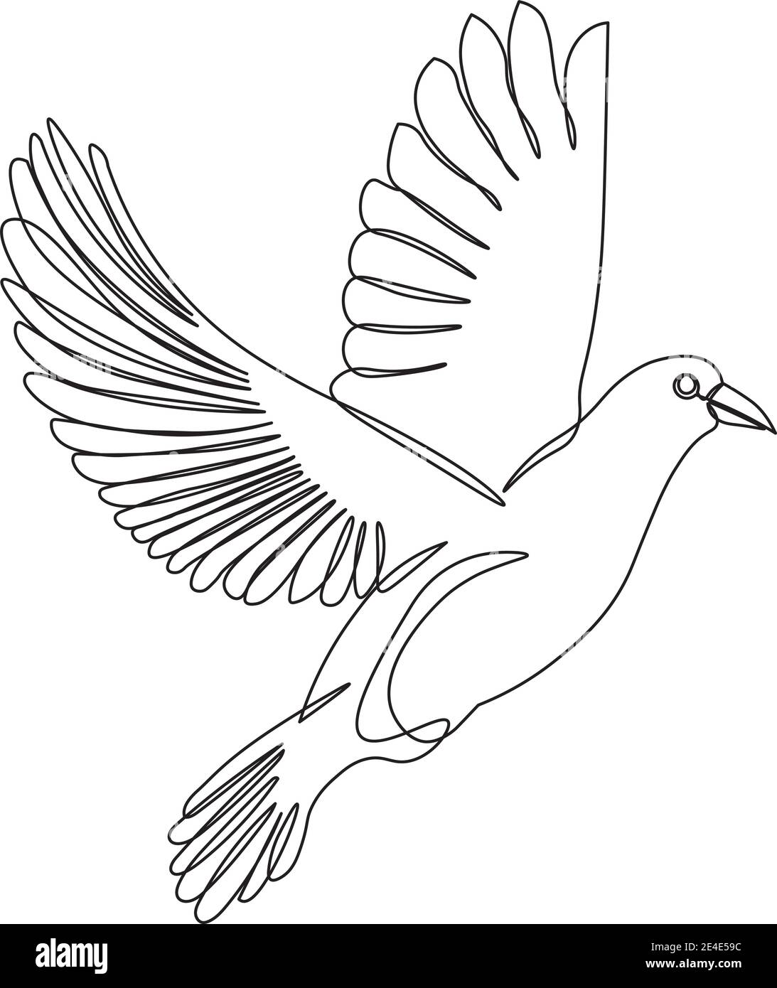 colomba disegnata con una sola linea isolata su bianco Illustrazione Vettoriale