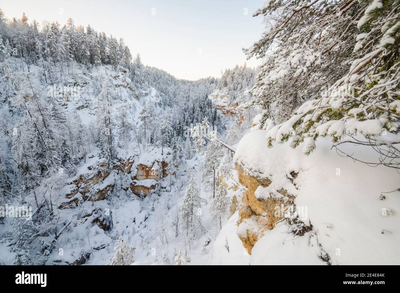 Foresta innevata e gola. Log scarafaggio. Guasto carsico. Riserva di Pinezhsky Foto Stock