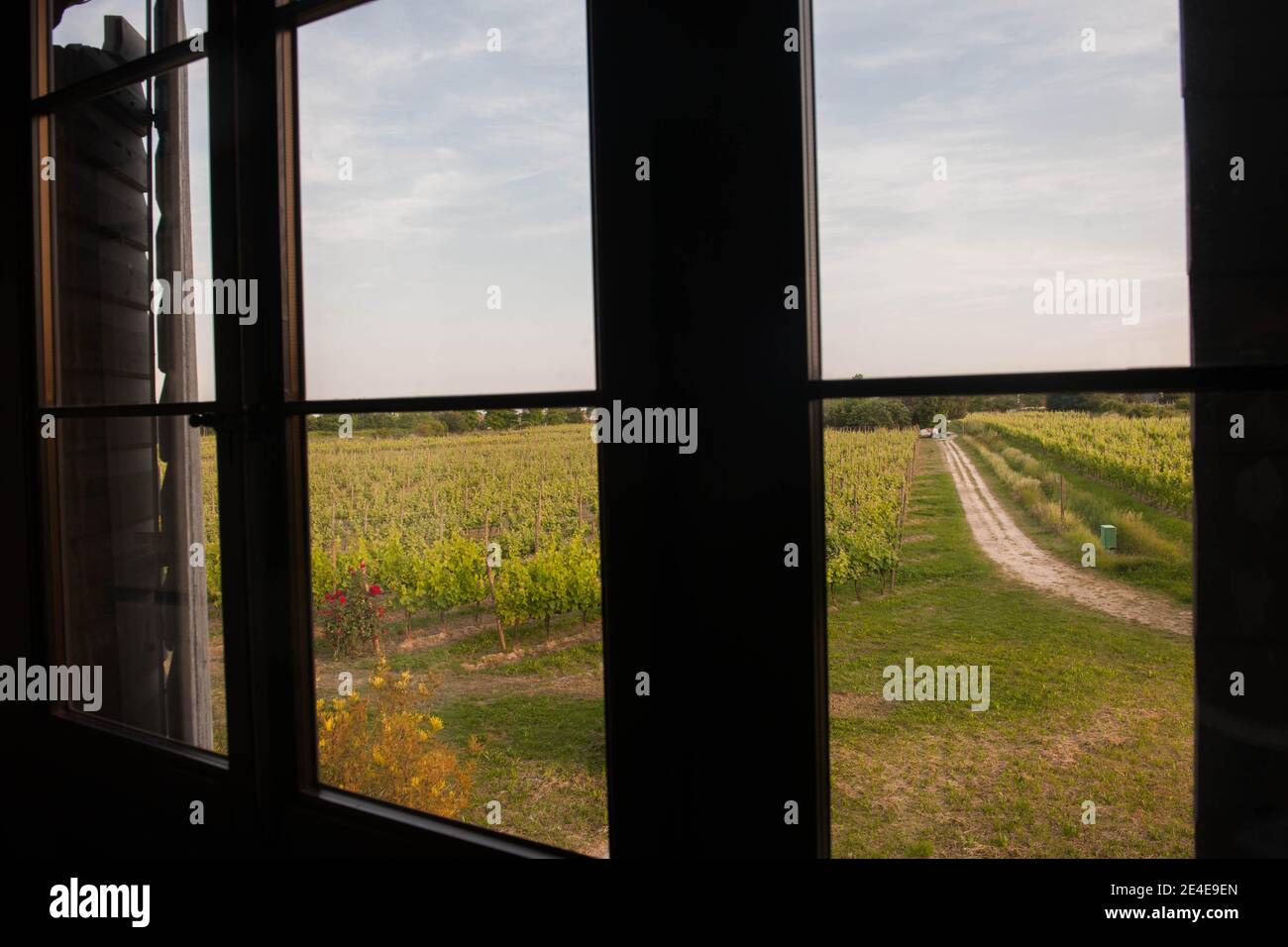 Venezia - una barca a remi naviga nel bacino di San Marco con il Canal Grande e la Chiesa della Salute dietro di esso Foto Stock