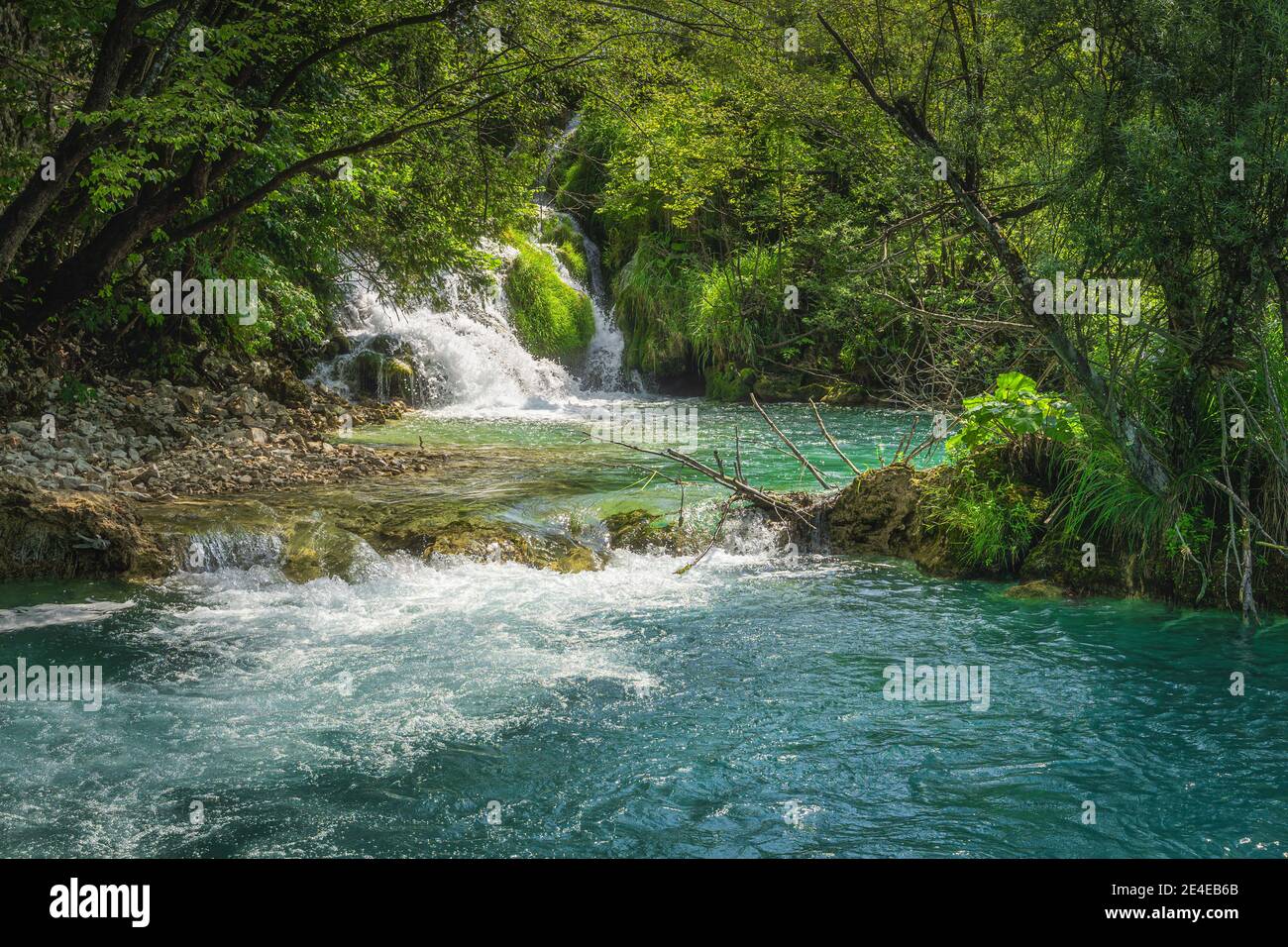 Piccola cascata illuminata dalla luce del sole con alberi che si appoggiano su di essa. Verde lussureggiante foresta, Plitvice Lakes National Park patrimonio mondiale dell'UNESCO in Croazia Foto Stock