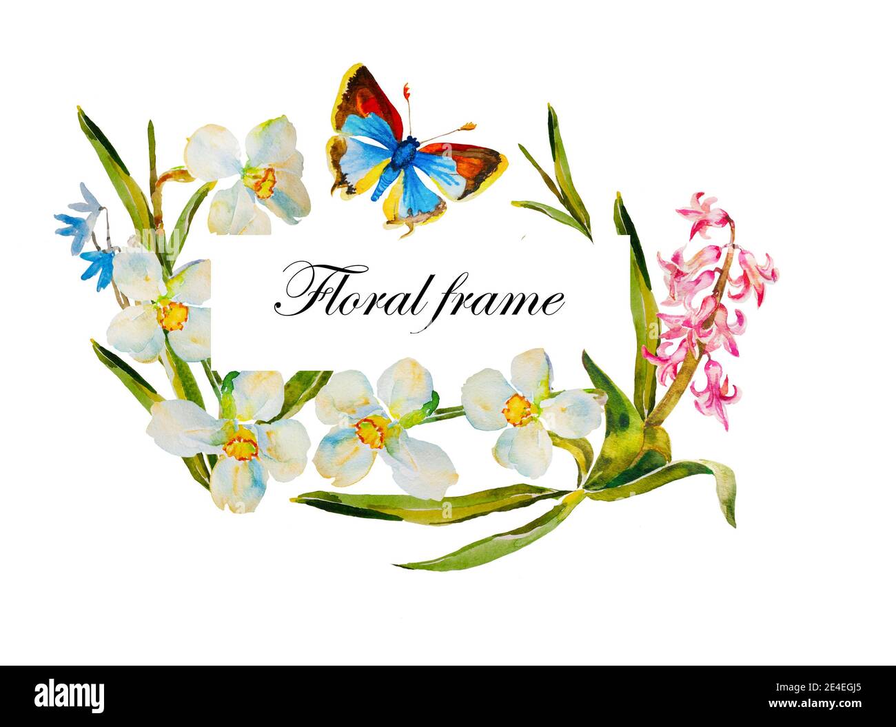 Cornice rettangolare Watecolor con narcisi bianchi, giacinto rosa e primi fiori blu primavera e farfalla blu bordo diagonale originale su bianco b Foto Stock