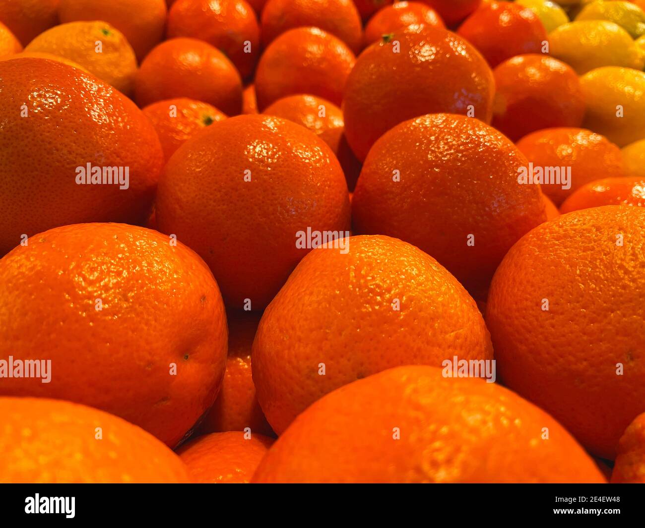 File di arance fresche e limoni sullo sfondo vicino su Foto Stock