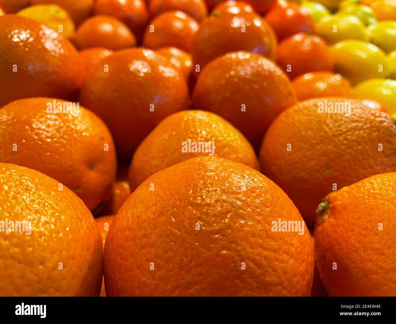 File di arance fresche e limoni sullo sfondo Foto Stock