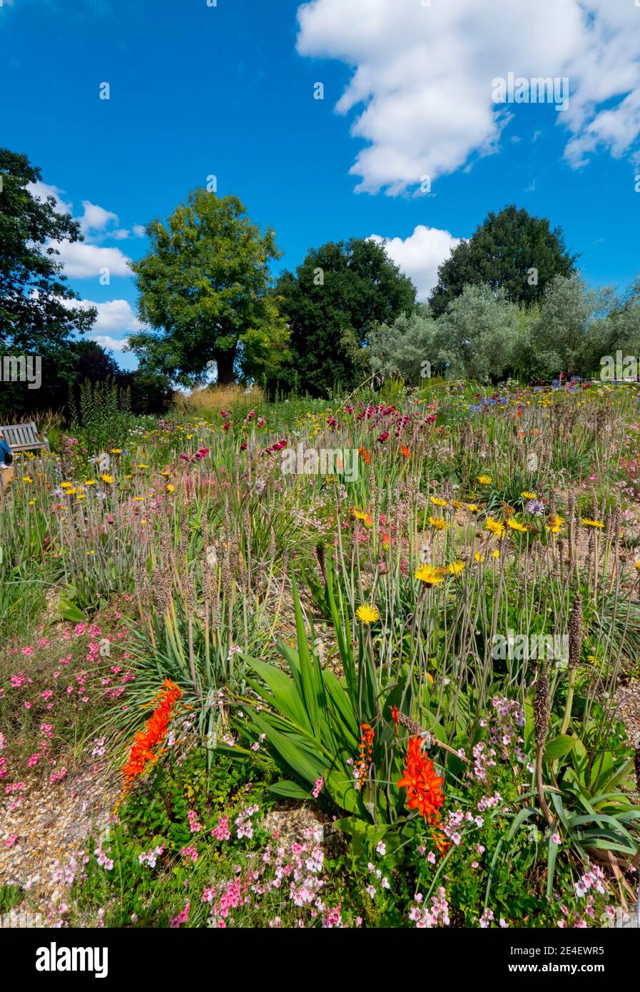 Europa, Regno Unito, Inghilterra, Londra, Horniman Museum Gardens Foto Stock