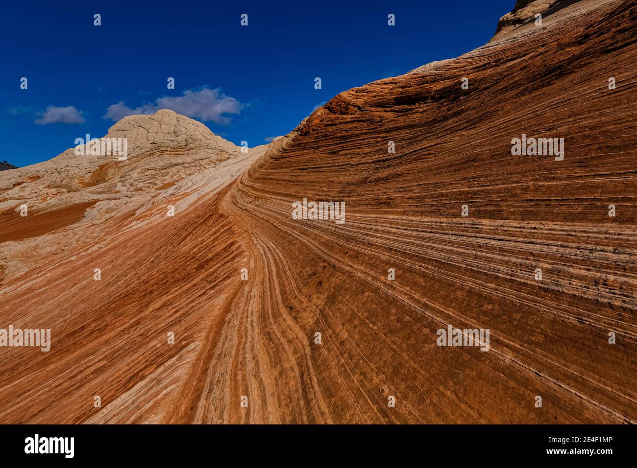 Formazioni di arenaria a strati in White Pocket, Vermilion Cliffs National Monument, Arizona, USA Foto Stock