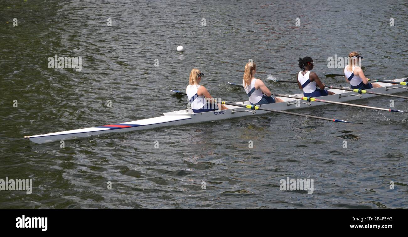 Signore Fours sculling squadra in gara sul fiume Ouse a St Neots. Foto Stock